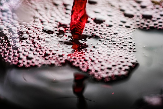 wine