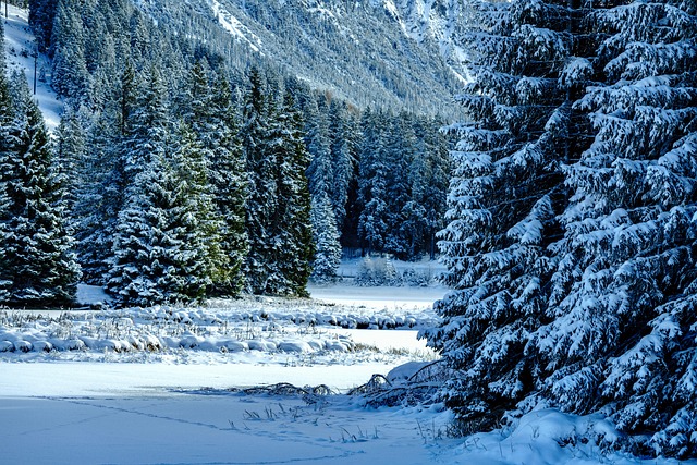 winter