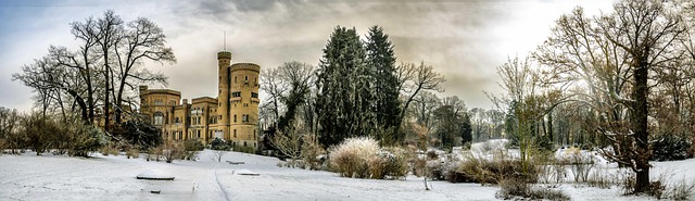 winter