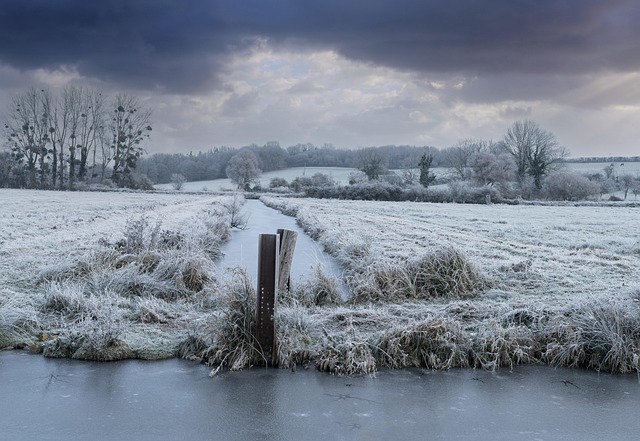winter