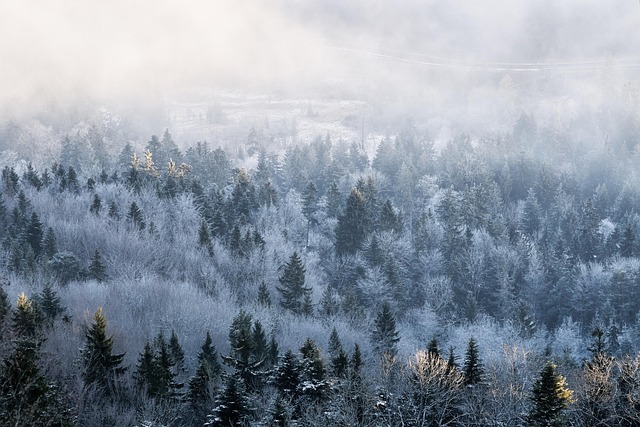 winter-640x480-40191833.jpeg