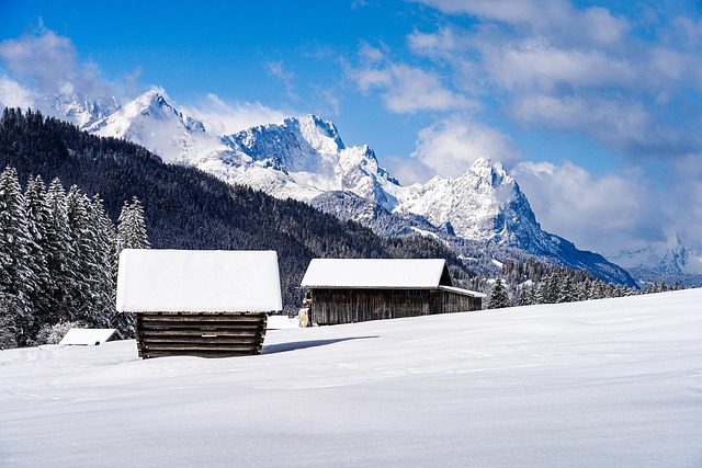 winter