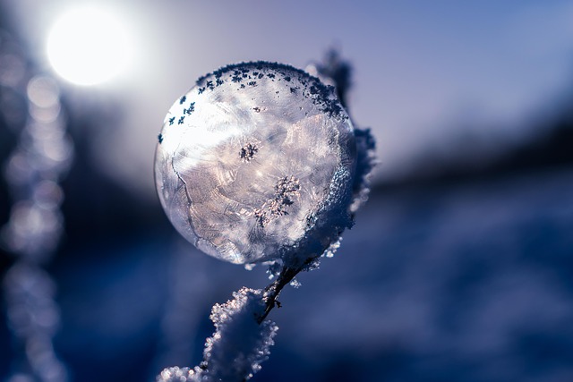 winter