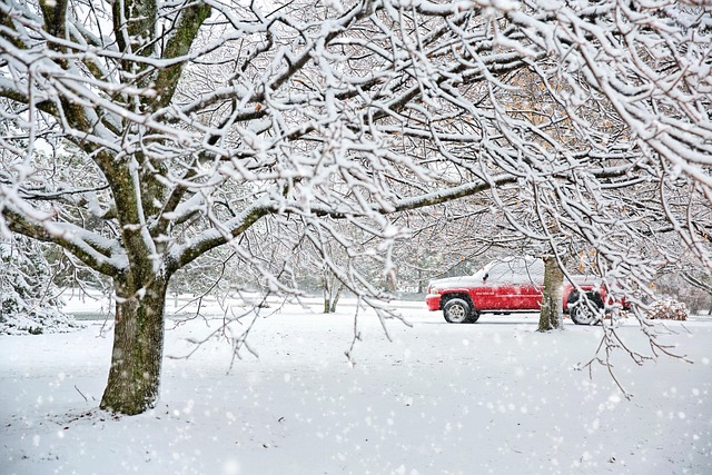winter