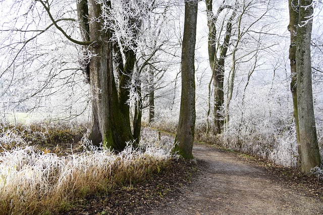 winter