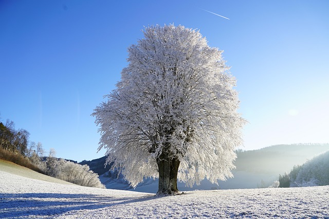 winter