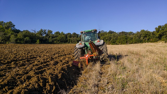 agriculture