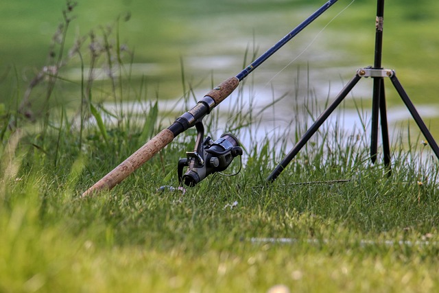 angler-640x480-17062534.jpeg