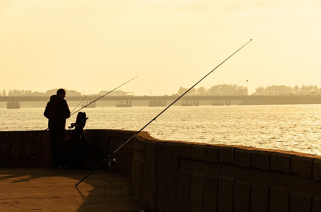 Angler