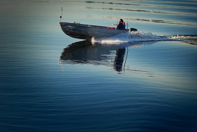 Angler