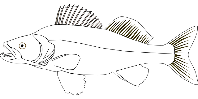 angling-640x480-24644803.png
