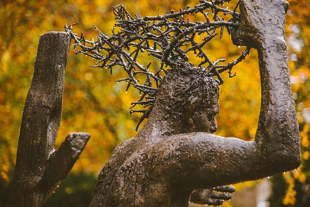 Art Installation Eugene Oregon