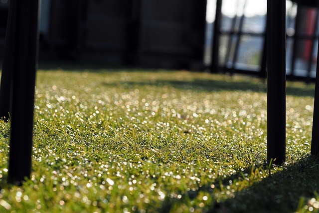 Artificial Grass Installation Eugene Oregon