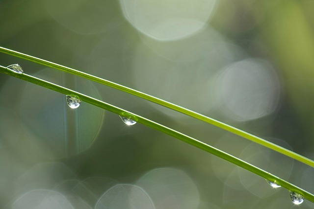 artificial-grass-installation-eugene-ore-640x480-97495670.jpeg