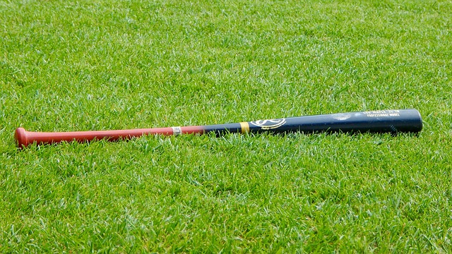 Unveiling Ducks Baseball History: Icons, Records, and Major League Impact