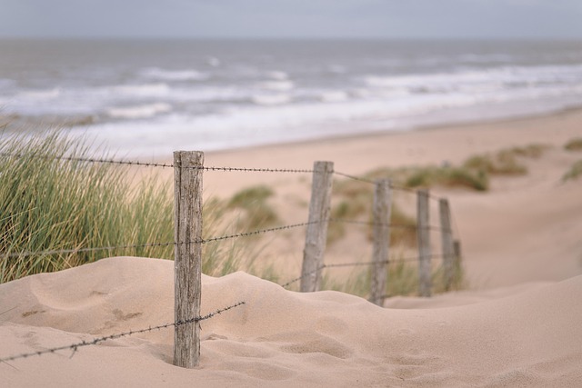 beach-640x480-26443728.jpeg