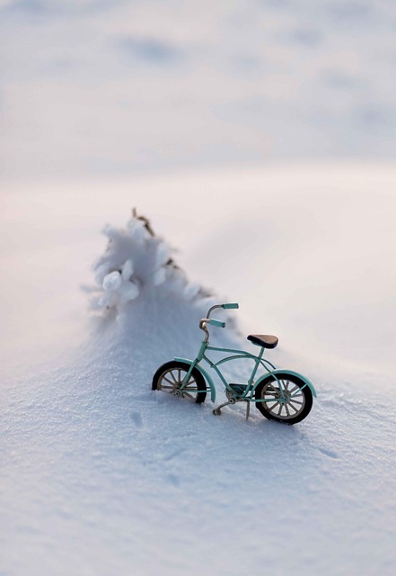 bike-640x480-14201283.jpeg