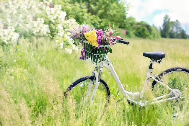 bike-640x480-27053989.jpeg