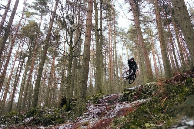 biking-640x480-31127171.jpeg