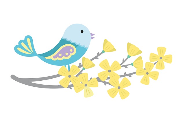 birds-640x480-27329939.jpeg