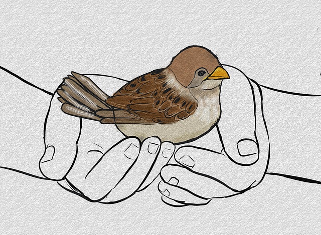 birds