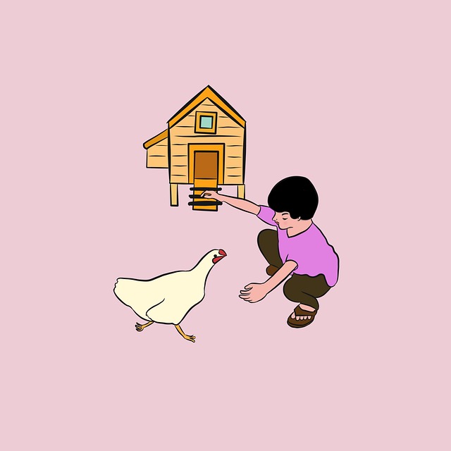 cabins