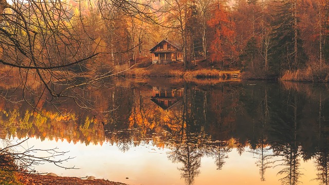 cabins