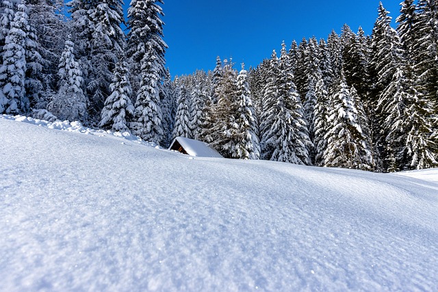 cabins