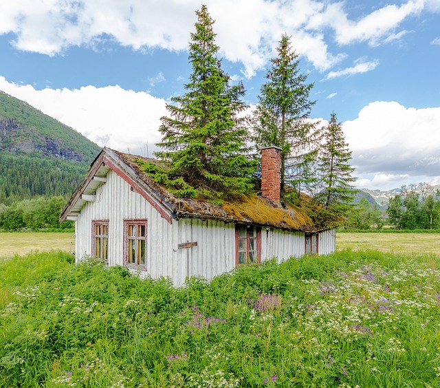 cabins-640x480-90249859.jpeg