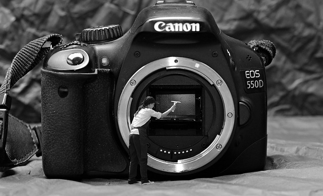 camera