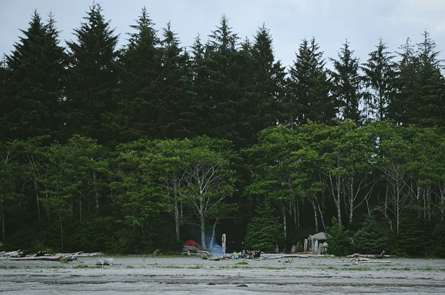 Camping
