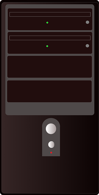 cases