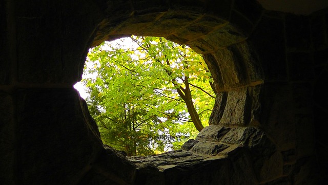Discover Florence’s Coastal Wonders: Sea Lion Caves Adventure