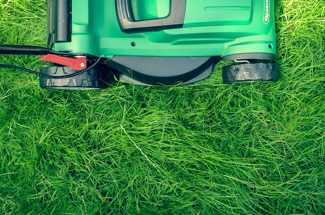 cleanup