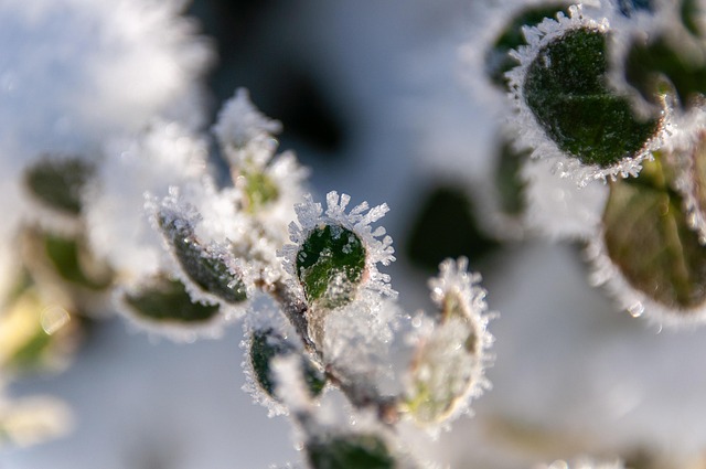 cold