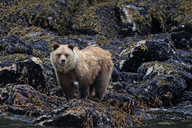 conservation-640x480-70649220.jpeg