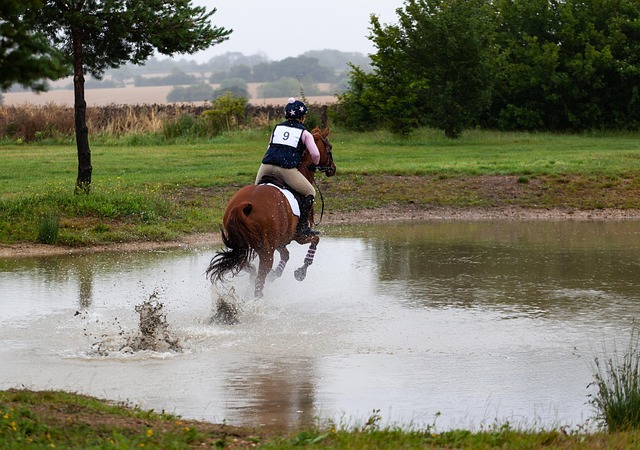 cross-country