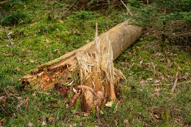damage