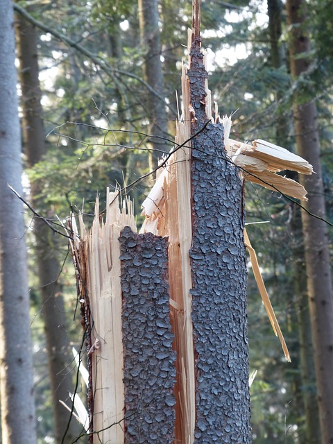 damage-640x480-79017414.jpeg