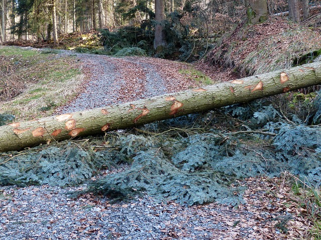 damage