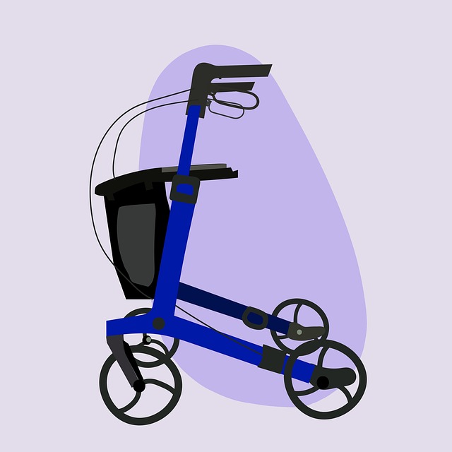 disability
