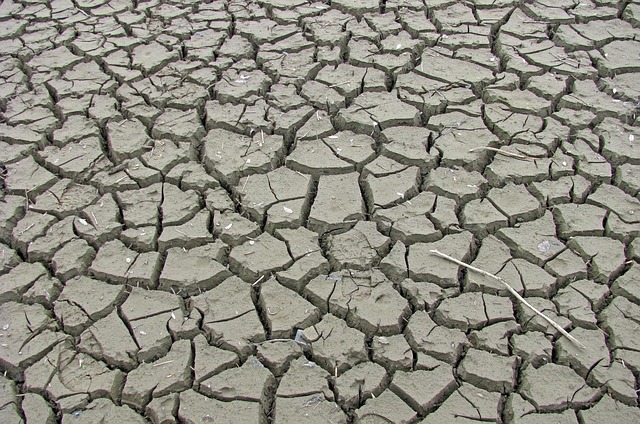 drains