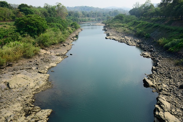 drains