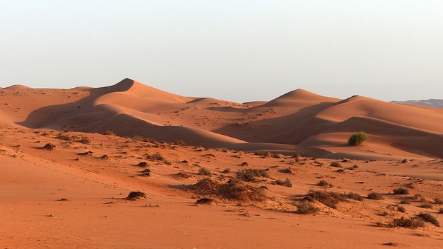 dunes