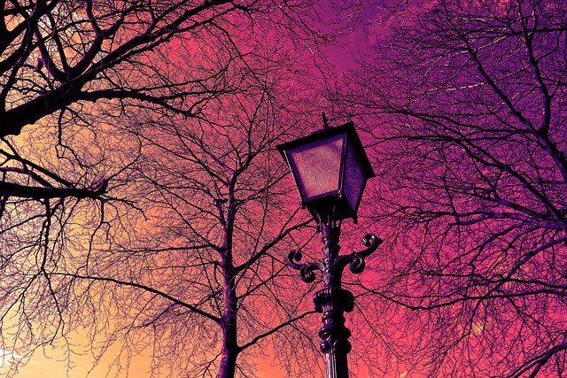 electric-lights-640x480-1126492.jpeg