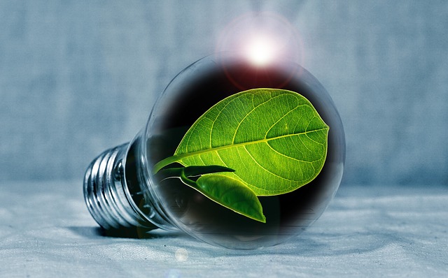 electric-lights-640x480-60756859.jpeg