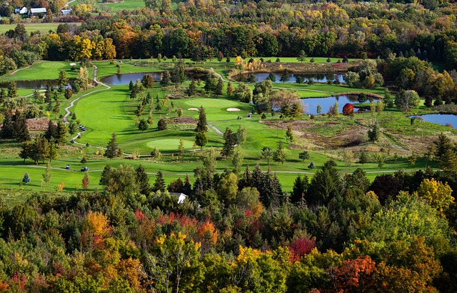 fairway