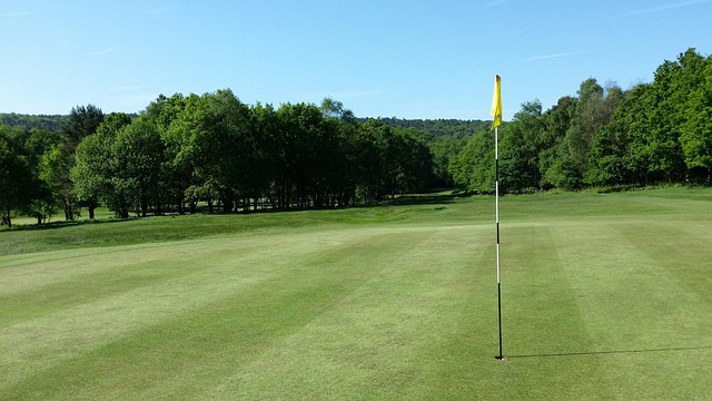 fairway