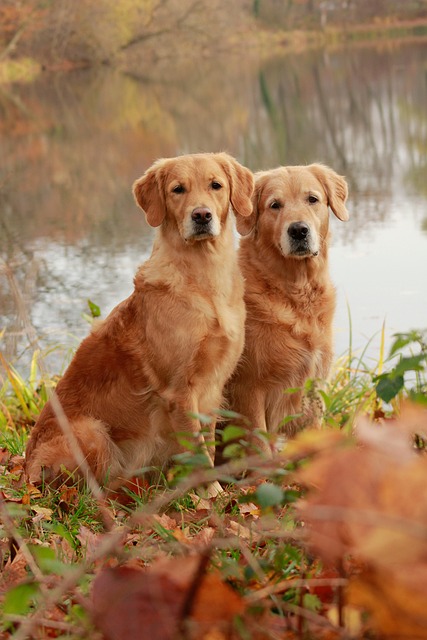 family-640x480-68849595.jpeg