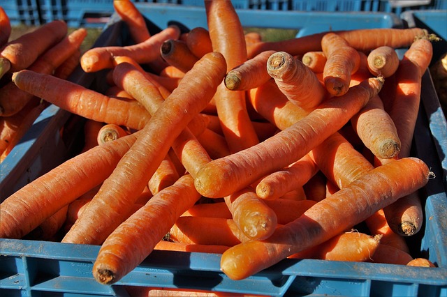 farmers market